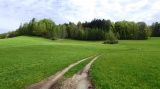 Oben im Wald befindet sich die Wallanlage